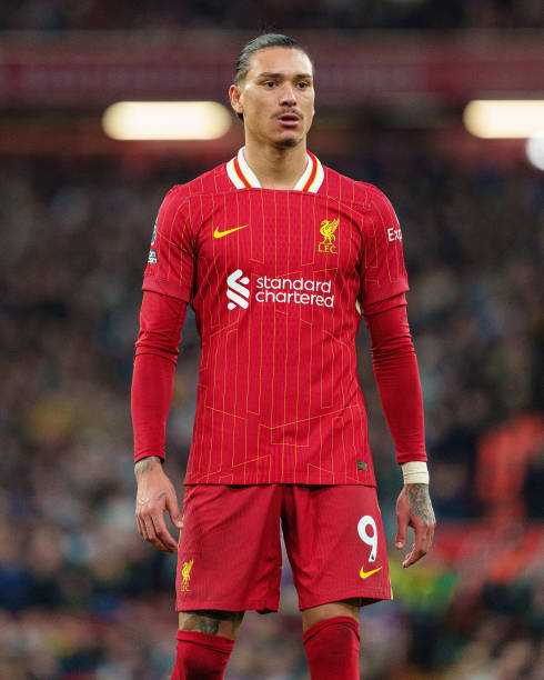 在今年的夏 在今年的夏