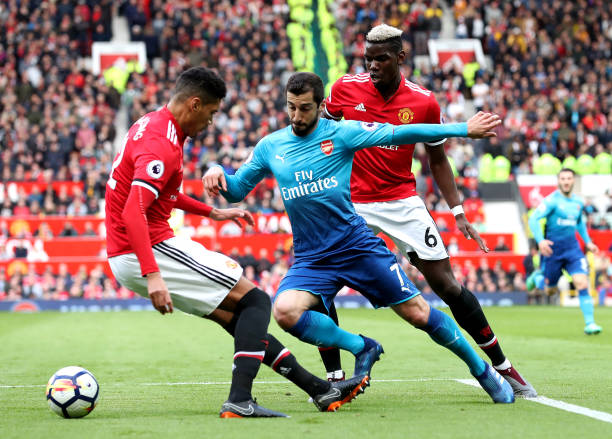 引进伊瓜因 引进伊瓜因